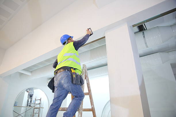 Best Ceiling Drywall Installation  in Trezevant, TN